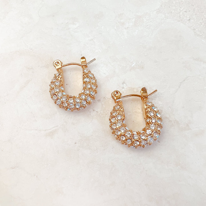 Amoroso Crystal Earrings